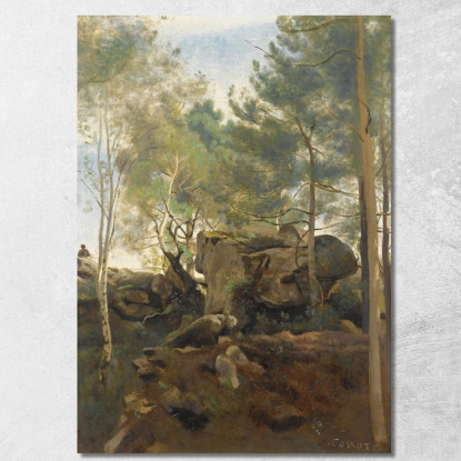 Fontainebleau. Pini E Betulle Nelle Rocce Jean-Baptiste-Camille Corot jbc64 quadro stampato su tela