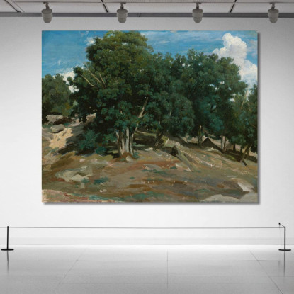 Querce Di Fontainebleau A Bas-Bréau Jean-Baptiste-Camille Corot jbc65 quadro stampato su tela