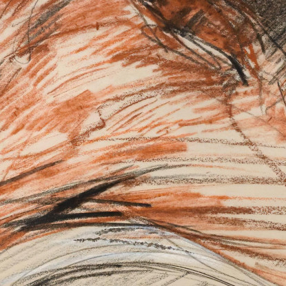 Ritratto Di Elisabeth Van Biema Paul César Helleu pch46 quadro stampato su tela