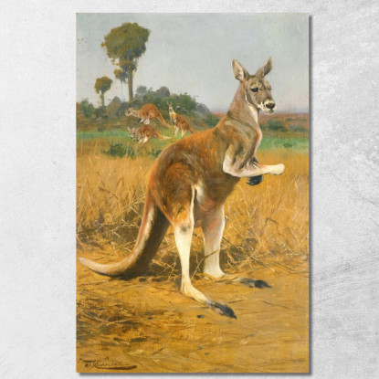 Canguri Rossi Nell'Outback Wilhelm Kuhnert wkh32 quadro stampato su tela