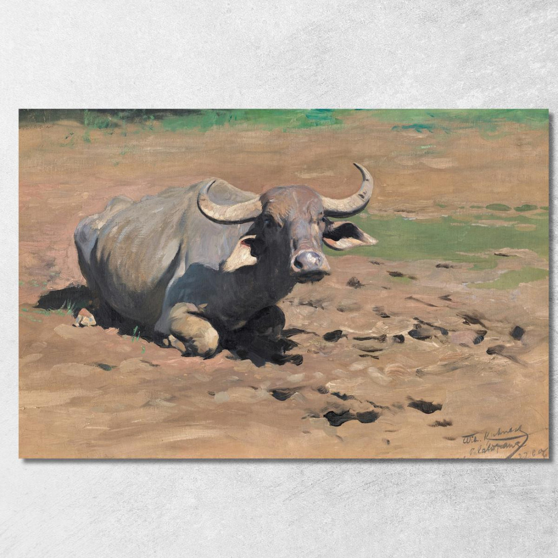 Bufalo A Riposo Wilhelm Kuhnert wkh33 quadro stampato su tela Bufalo A Riposo Wilhelm Kuhnert wkh33 quadro stampato su tela
