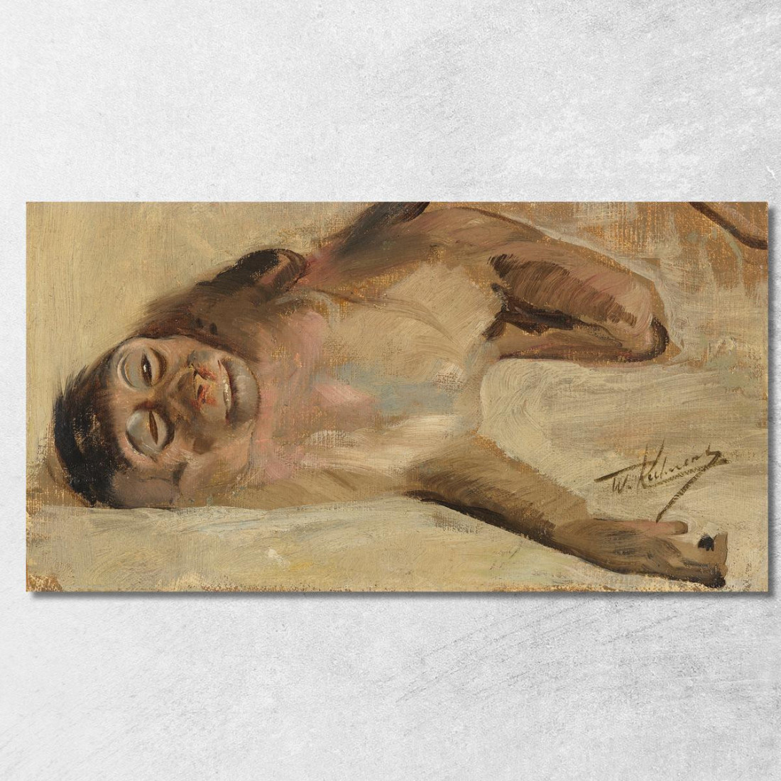 Scimmia Maiale Wilhelm Kuhnert wkh37 quadro stampato su tela Scimmia Maiale Wilhelm Kuhnert wkh37 quadro stampato su tela