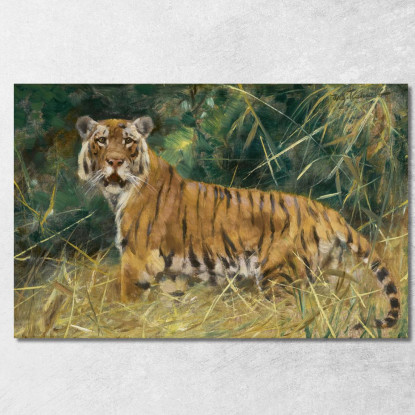 Tigre In Allerta Wilhelm Kuhnert wkh44 quadro stampato su tela