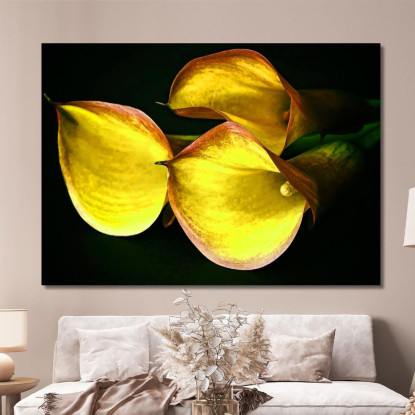 Quadro Astratto Calla Delicata abs10 quadro stampato su tela