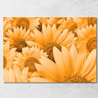 Quadro Composizione Di Girasoli Quadro Moderno Fiori Astratti flp7 quadro stampato su tela