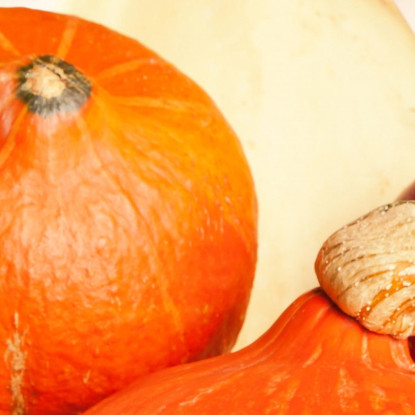 Quadro Moderno Composizione Autunnale Con Zucche E Frutta Secca foo37 quadro stampato su tela
