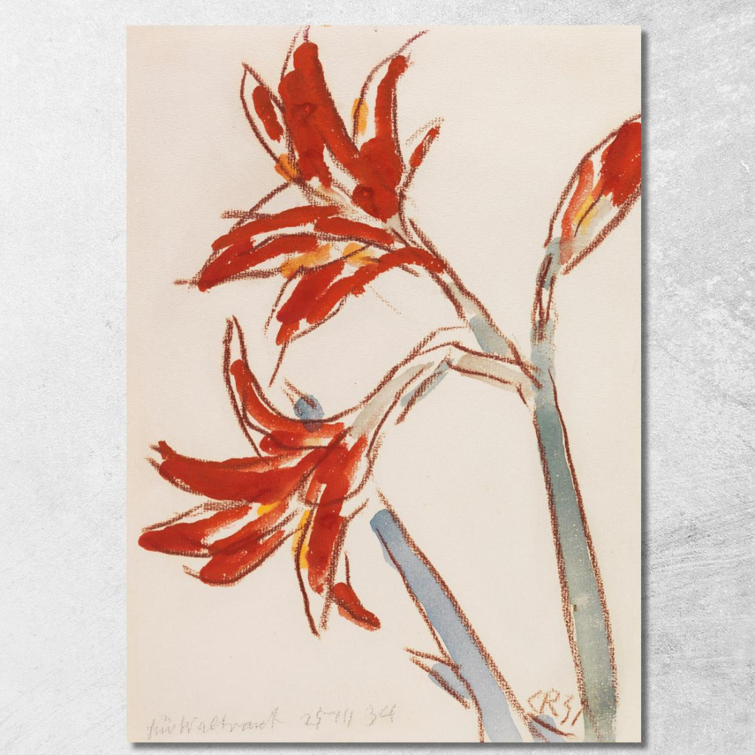 Amarillide Rossa Christian Rohlfs cro67 quadro stampato su tela Amarillide Rossa Christian Rohlfs cro67 quadro stampato su tela