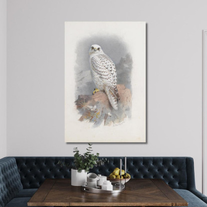 Un Falco Della Groenlandia Archibald Thorburn ath5 quadro stampato su tela