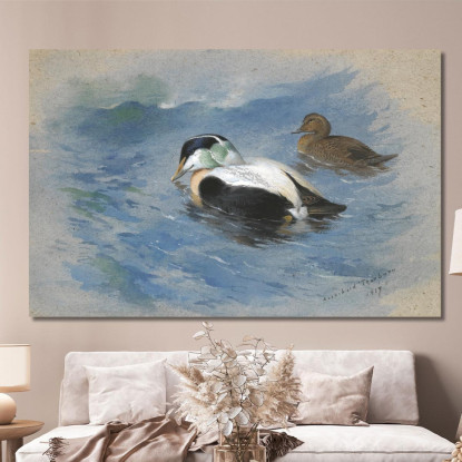 Una Coppia Di Edredoni Archibald Thorburn ath8 quadro stampato su tela