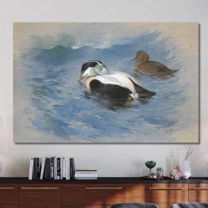 Una Coppia Di Edredoni Archibald Thorburn ath8 quadro stampato su tela
