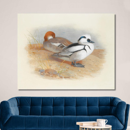 Una Coppia Di Smew Archibald Thorburn ath12 quadro stampato su tela