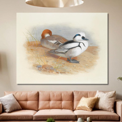 Una Coppia Di Smew Archibald Thorburn ath12 quadro stampato su tela