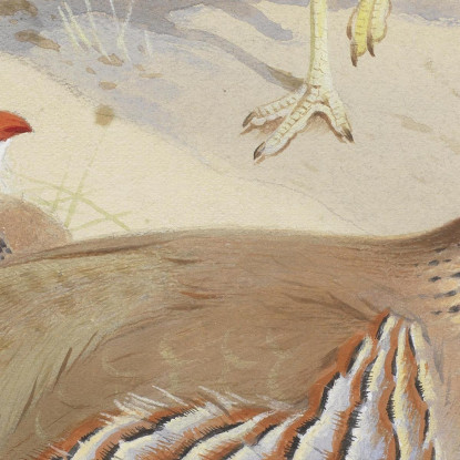 Un Occhione E Una Coppia Di Pernici Francesi Archibald Thorburn ath14 quadro stampato su tela