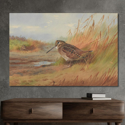 Un Beccaccino Archibald Thorburn ath15 quadro stampato su tela