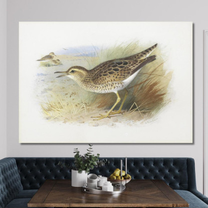 Piviere Di Bartram Archibald Thorburn ath19 quadro stampato su tela