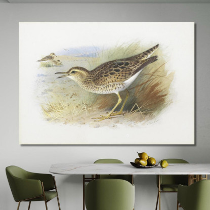 Piviere Di Bartram Archibald Thorburn ath19 quadro stampato su tela