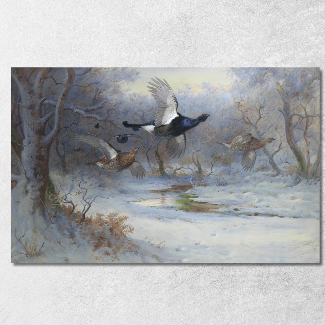 Fagiano Di Monte E Pernice In Volo In Inverno Archibald Thorburn ath23 quadro stampato su tela Fagiano Di Monte E Pernice In Volo In Inverno Archibald Thorburn ath23 quadro stampato su tela