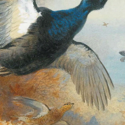 Fagiano Di Monte In Primo Piano Archibald Thorburn ath24 quadro stampato su tela
