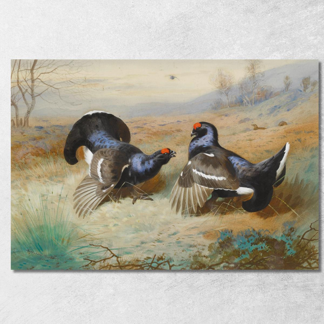 Fagiani Di Monte Al Lek Archibald Thorburn ath26 quadro stampato su tela Fagiani Di Monte Al Lek Archibald Thorburn ath26 quadro stampato su tela