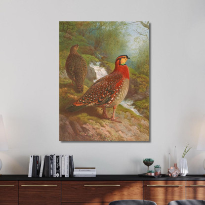 Tragopano Di Blyth Archibald Thorburn ath29 quadro stampato su tela