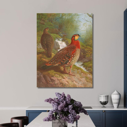 Tragopano Di Blyth Archibald Thorburn ath29 quadro stampato su tela