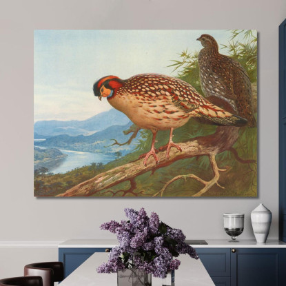 Tragopano Di Cabot Archibald Thorburn ath33 quadro stampato su tela