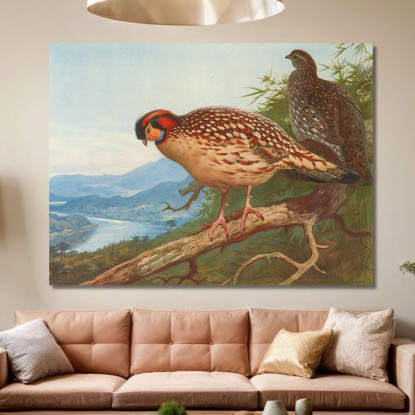 Tragopano Di Cabot Archibald Thorburn ath33 quadro stampato su tela