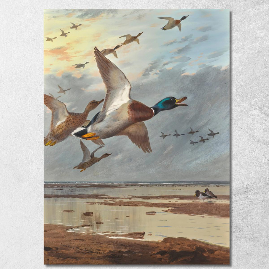 Rientrando Dal Mare Archibald Thorburn ath36 quadro stampato su tela Rientrando Dal Mare Archibald Thorburn ath36 quadro stampato su tela