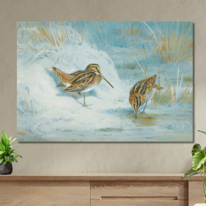 Beccaccino Congelato Archibald Thorburn ath48 quadro stampato su tela