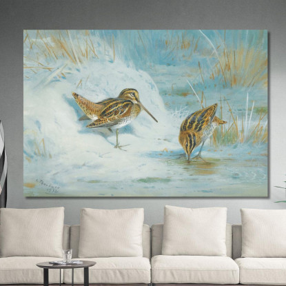 Beccaccino Congelato Archibald Thorburn ath48 quadro stampato su tela