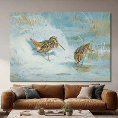 Beccaccino Congelato Archibald Thorburn ath48 quadro stampato su tela