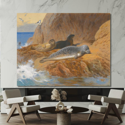 Foche Grigie E Comuni A Riposo Archibald Thorburn ath51 quadro stampato su tela