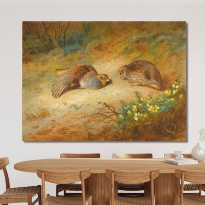 Pernice Grigia Archibald Thorburn ath52 quadro stampato su tela