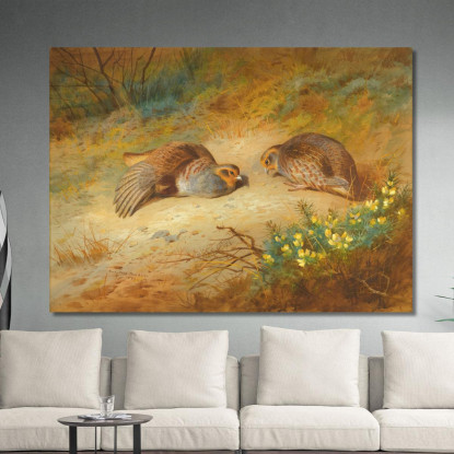 Pernice Grigia Archibald Thorburn ath52 quadro stampato su tela