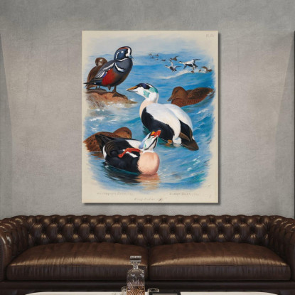 Anatre Arlecchino Ed Edredoni Archibald Thorburn ath55 quadro stampato su tela