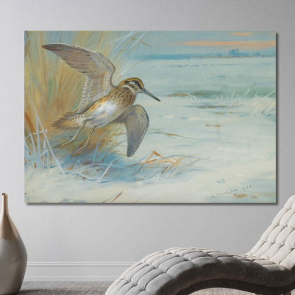 Beccaccino In Decollo Archibald Thorburn ath58 quadro stampato su tela
