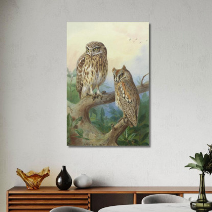 Civetta Nana E Assiolo Archibald Thorburn ath61 quadro stampato su tela