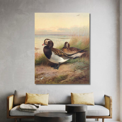 Moretta Codona In Estate Archibald Thorburn ath62 quadro stampato su tela