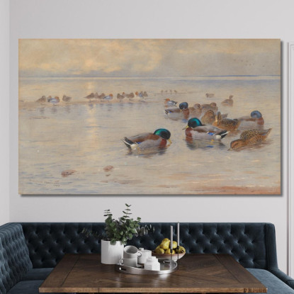 Germani Reali Su Un Lago Archibald Thorburn ath67 quadro stampato su tela