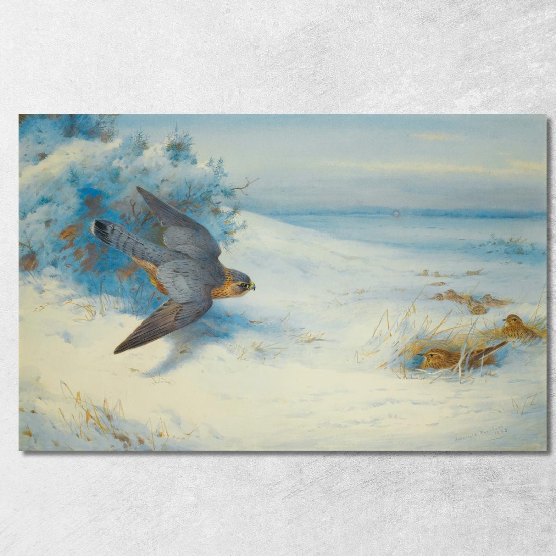 Smeriglio E Allodole Archibald Thorburn ath68 quadro stampato su tela Smeriglio E Allodole Archibald Thorburn ath68 quadro stampato su tela