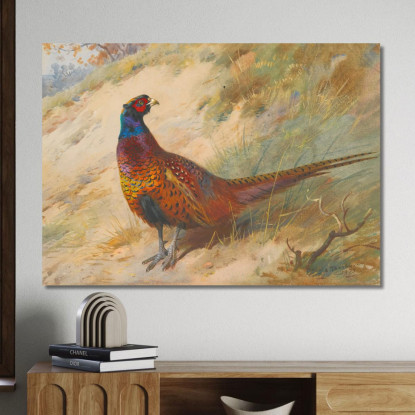 Fagiano Archibald Thorburn ath81 quadro stampato su tela