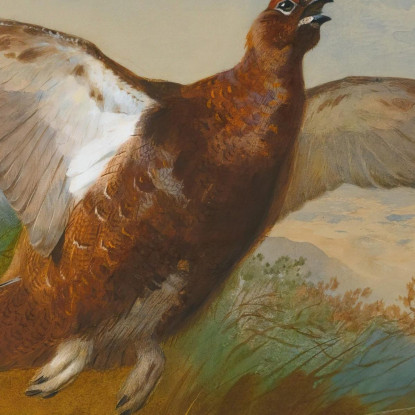 Pernice Rossa In Volo Archibald Thorburn ath86 quadro stampato su tela