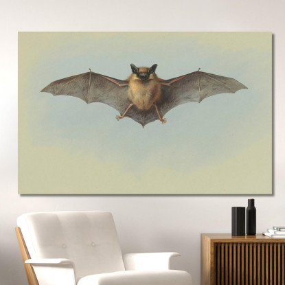 Studio Di Un Pipistrello Albolimbato Archibald Thorburn ath95 quadro stampato su tela