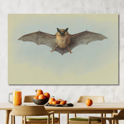 Studio Di Un Pipistrello Albolimbato Archibald Thorburn ath95 quadro stampato su tela