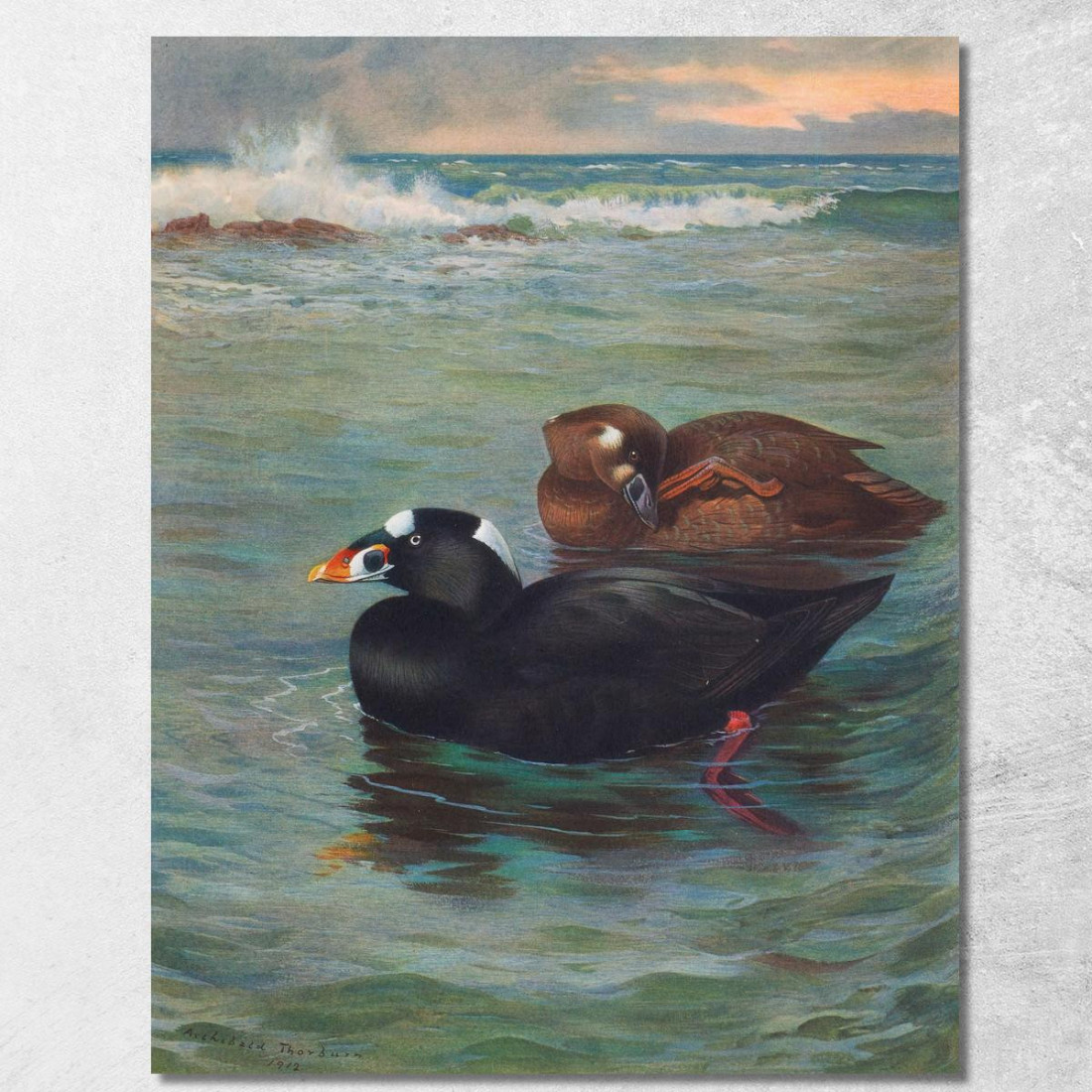 Orco Marino Archibald Thorburn ath97 quadro stampato su tela Orco Marino Archibald Thorburn ath97 quadro stampato su tela