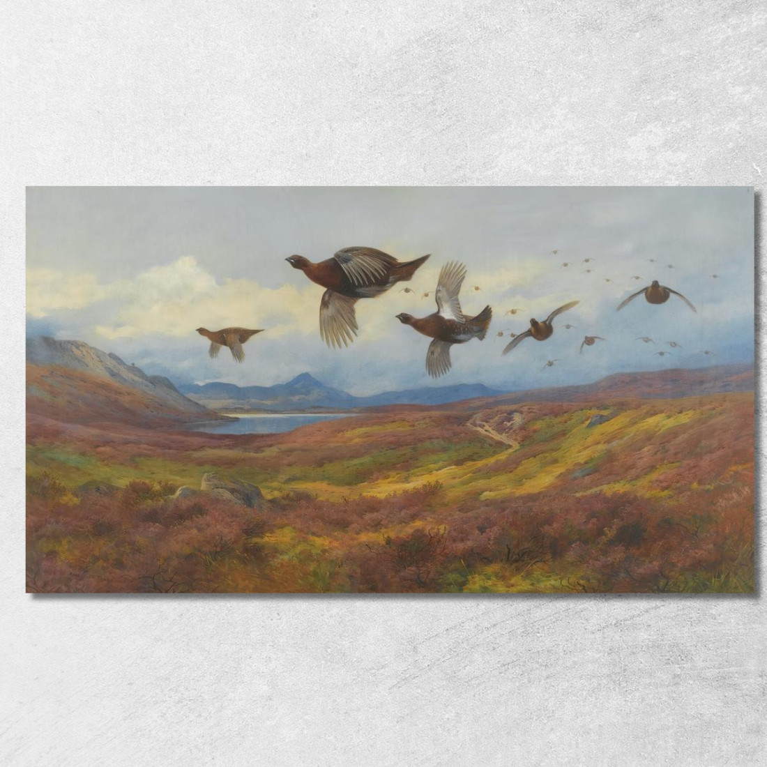 Deviazione Dai Fucili - Pernice Rossa Archibald Thorburn ath98 quadro stampato su tela Deviazione Dai Fucili - Pernice Rossa Archibald Thorburn ath98 quadro stampato su tela