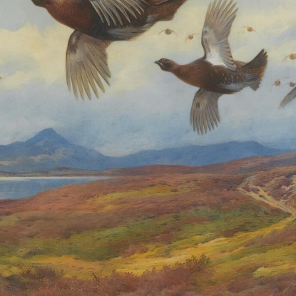 Deviazione Dai Fucili - Pernice Rossa Archibald Thorburn ath98 quadro stampato su tela