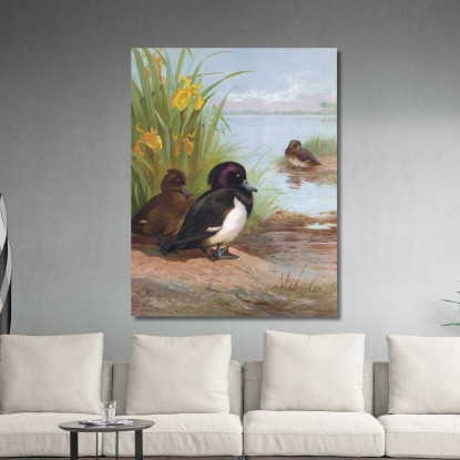 Moretta Tufted Archibald Thorburn ath106 quadro stampato su tela