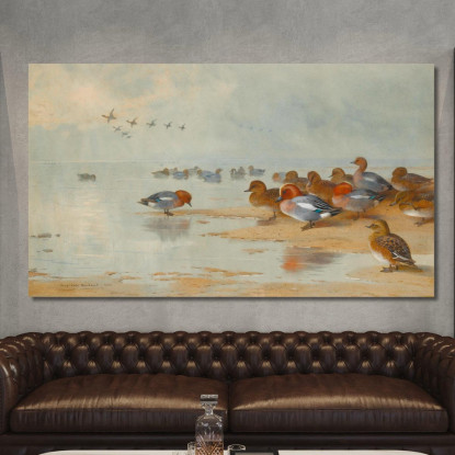Fischione E Alzavola Sulla Riva Dell'Acqua Archibald Thorburn ath110 quadro stampato su tela