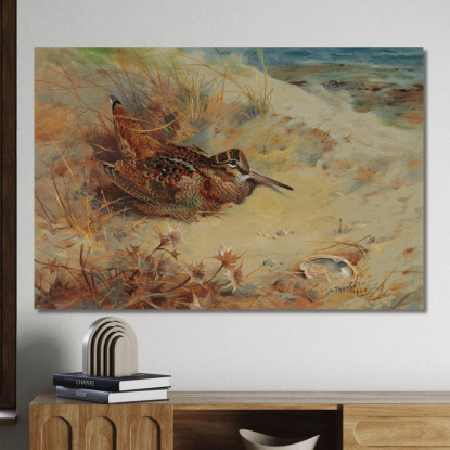 Beccaccia Rifugiata Nelle Dune Di Sabbia Archibald Thorburn ath114 quadro stampato su tela